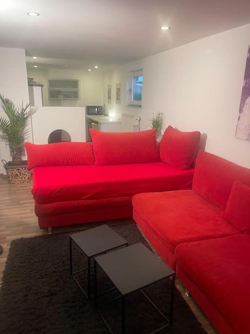 Gemuetliches Einliegerapartment, 50 Qm Trippstadt Zewnętrze zdjęcie